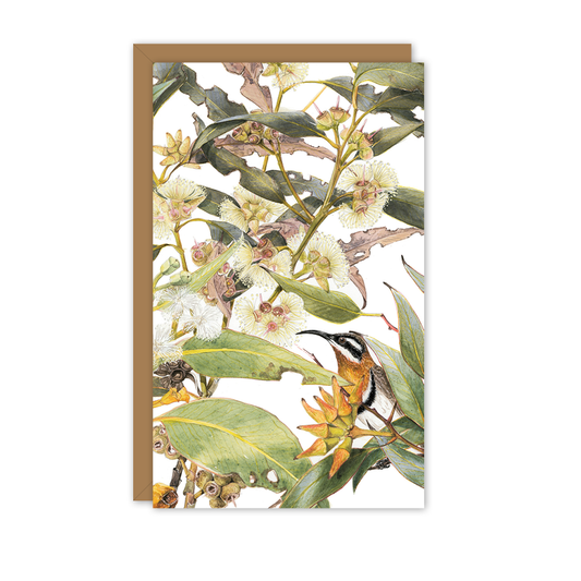 Small Card: Eucalyptus & Spinebill