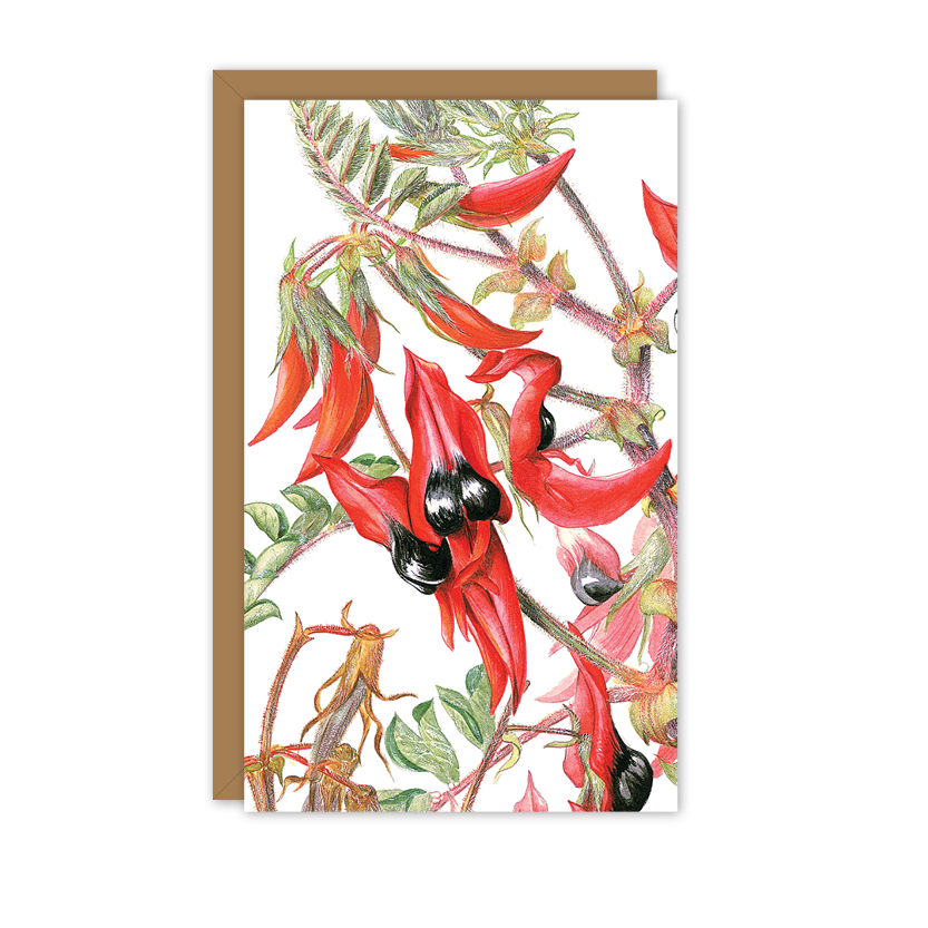 Sturt’s Desert Pea Australian Botanical Card — Small