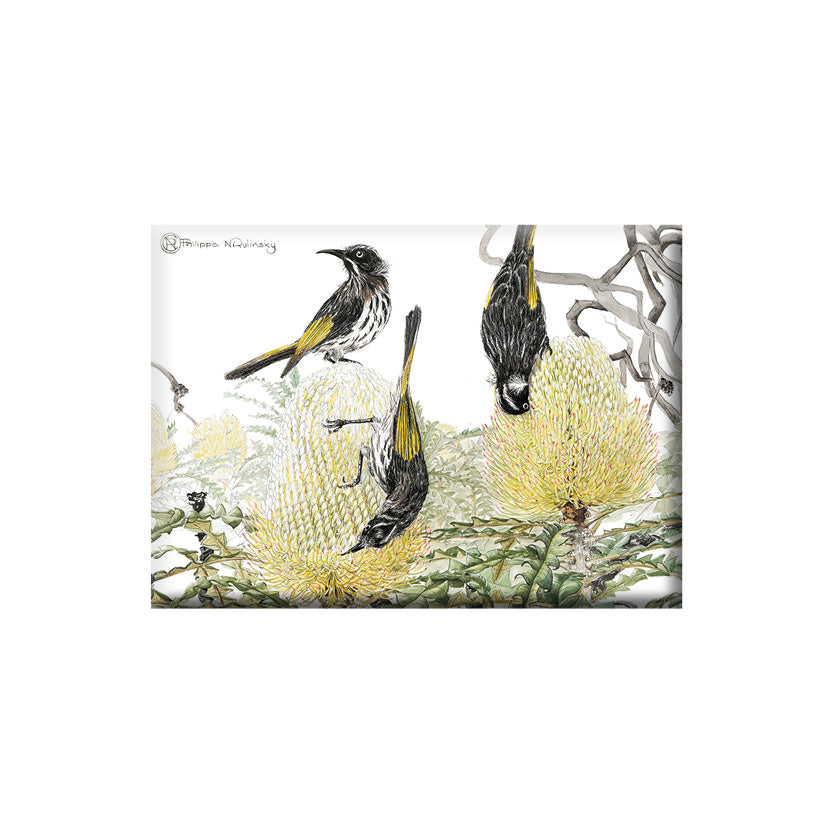 Honeyeaters on Banksia Australian Botanical & Wildlife Fridge Magnet