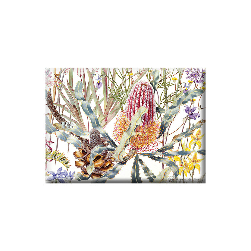Wildflowers of the Swan Coastal Plain Australian Botanical Fridge Magnet