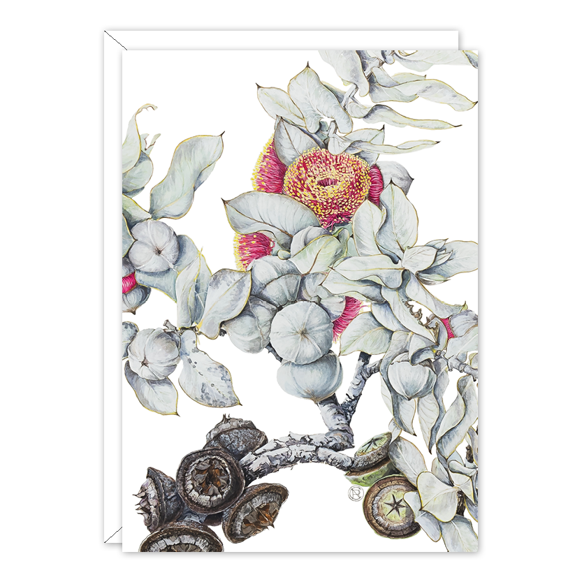 A6 Card: Eucalyptus Mottlecah
