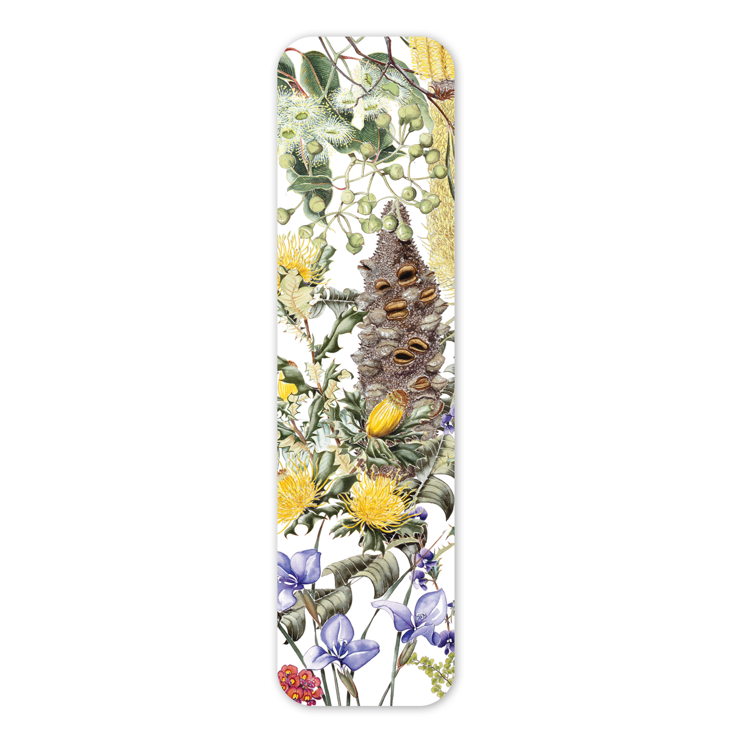 Jarrah Forest Flora — Australian Botanical Bookmark