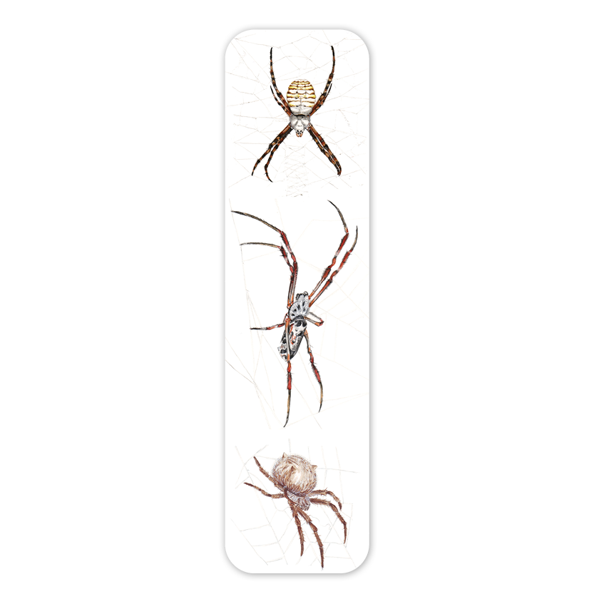 Spiders — Australian Wildlife Bookmark