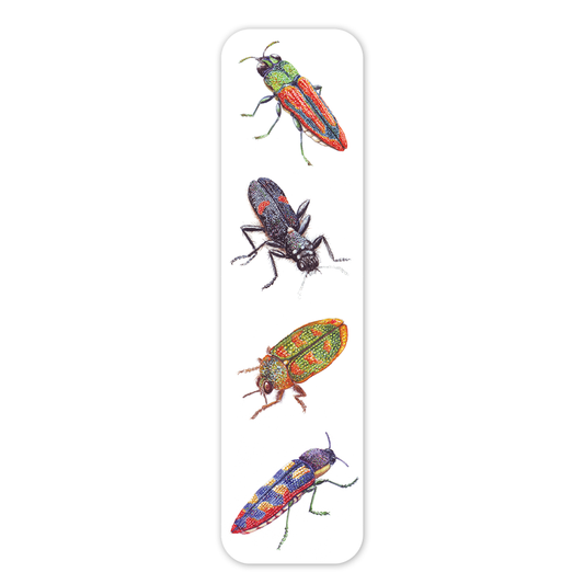 Bookmark: Jewel Beetles