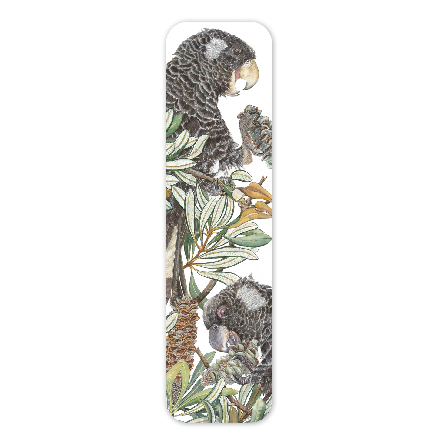 Banksia & Cockatoos — Australian Wildlife Bookmark