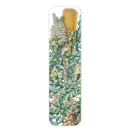 Bookmark: Banksia grandis