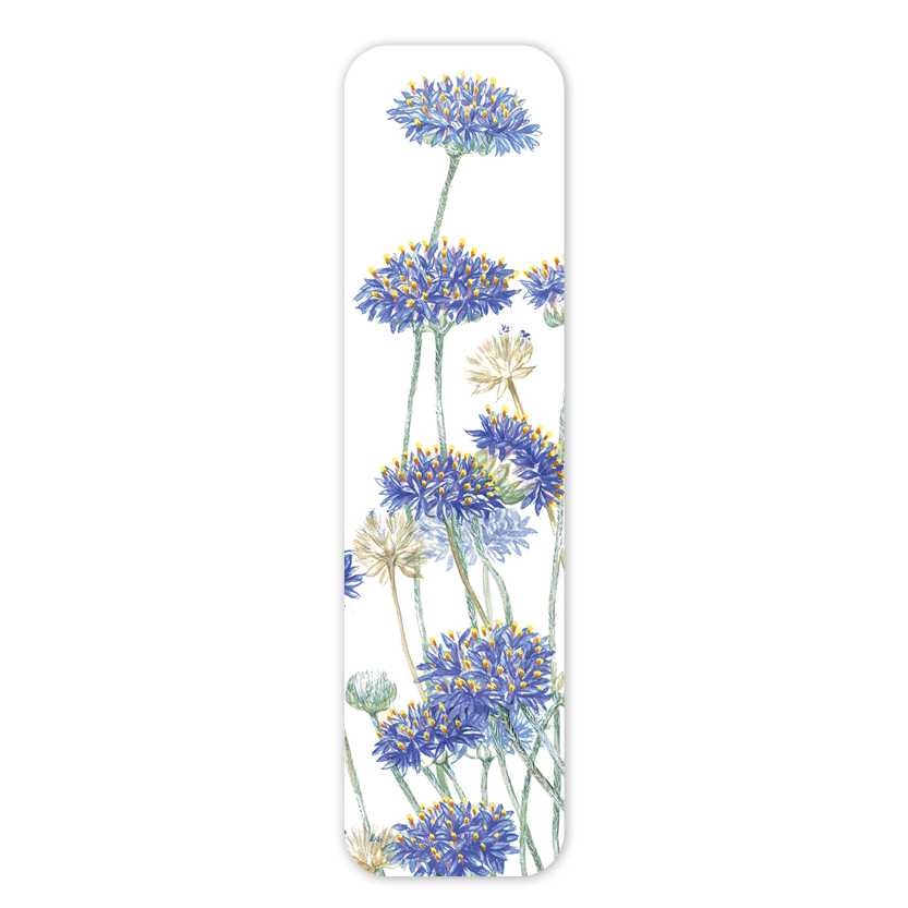 Blue Pincushion — Australian Botanical Bookmark
