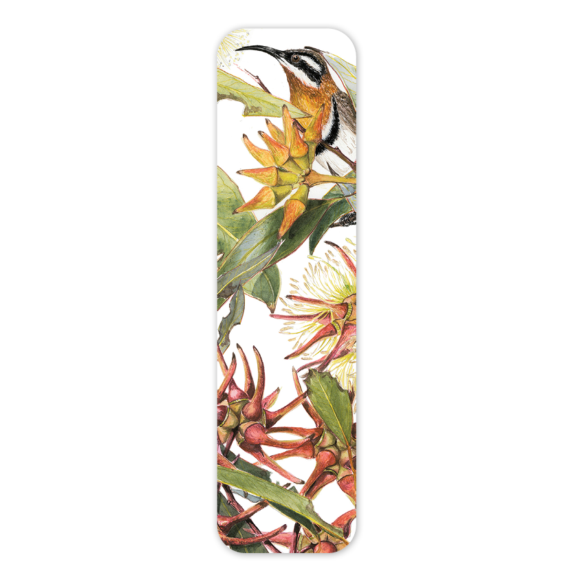 Eucalyptus & Spinebill — Australian Wildlife Bookmark