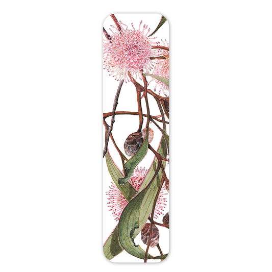 Bookmark: Pincushion Hakea