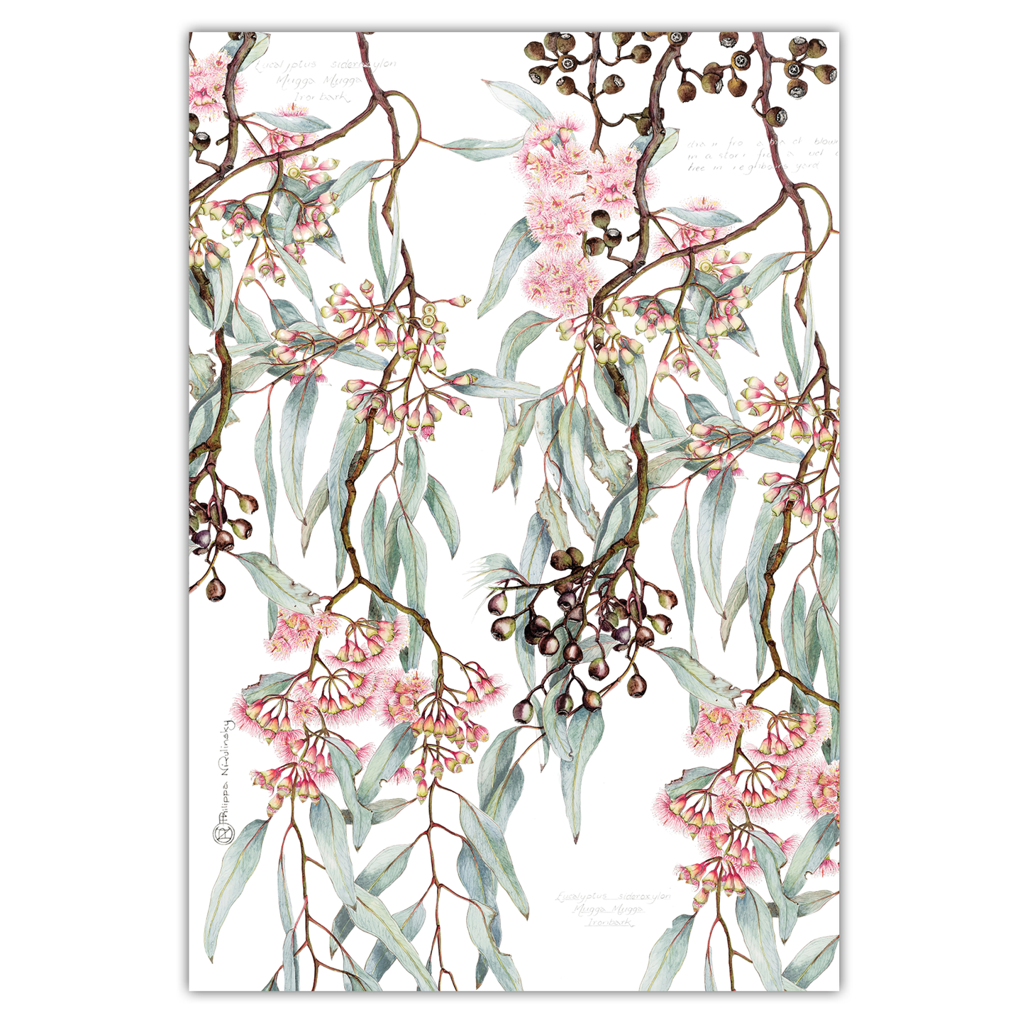 Ironbark Australian Botanical Linen Tea Towel