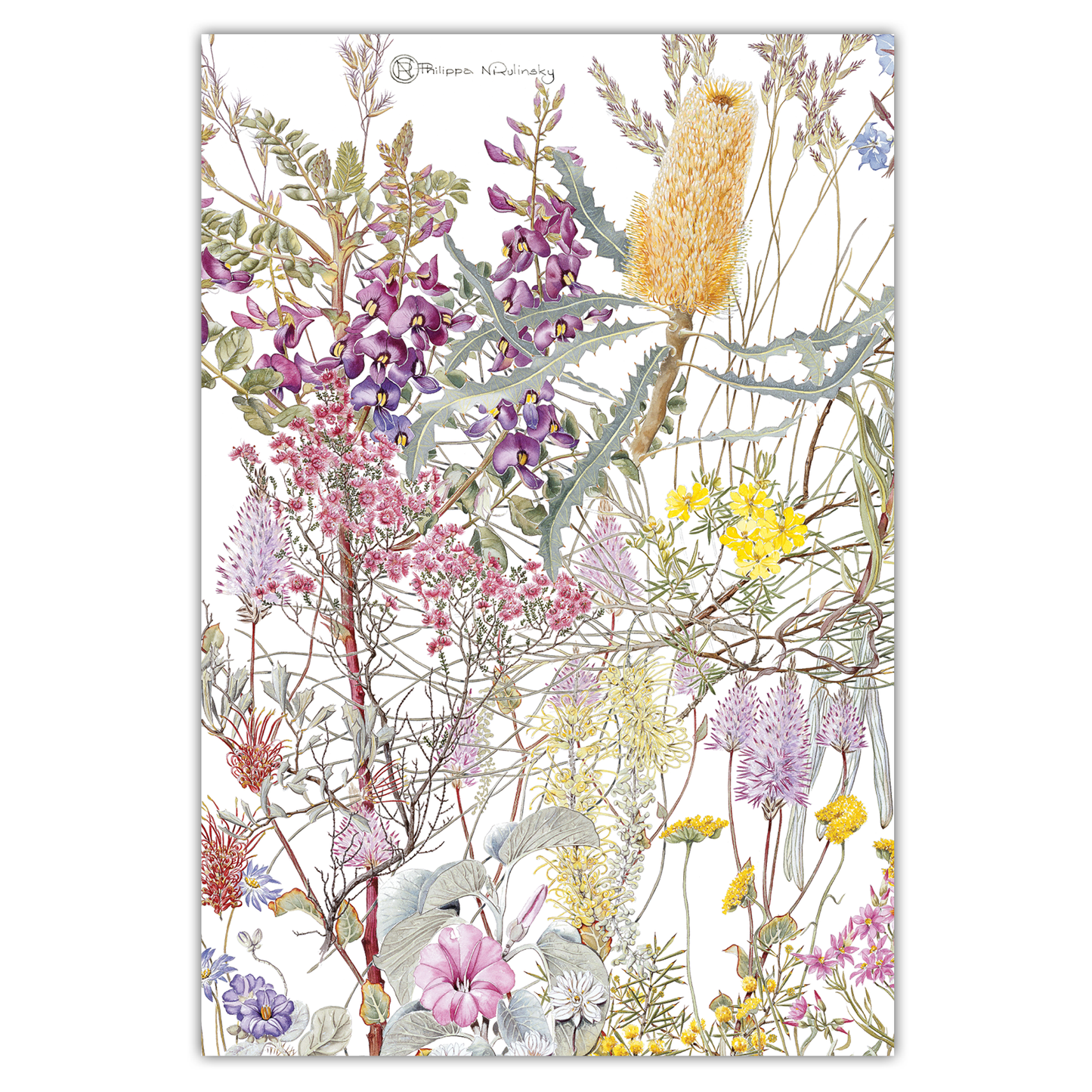 Murchison Ashburton Region Wildflowers Australian Botanical Linen Tea Towel