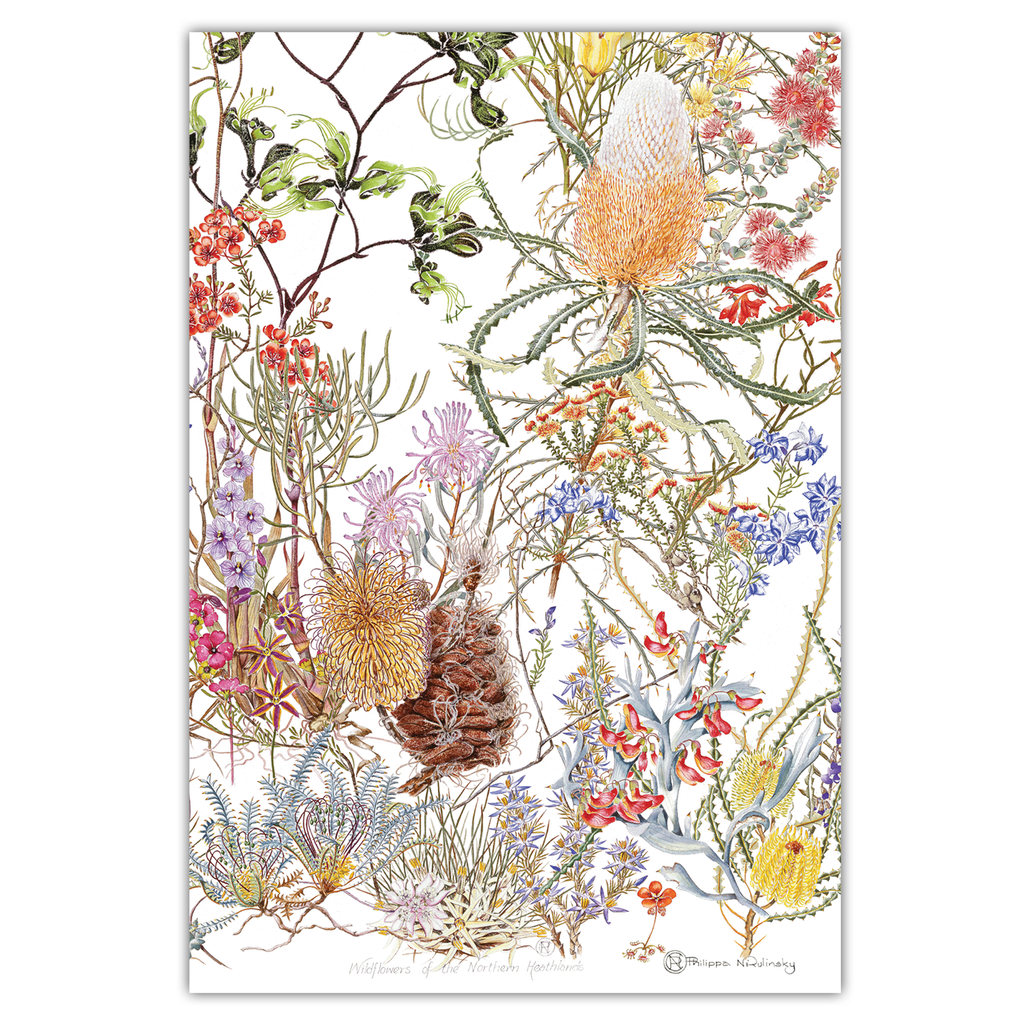 Northern Heathland Wildflowers Australian Botanical Linen Tea Towel