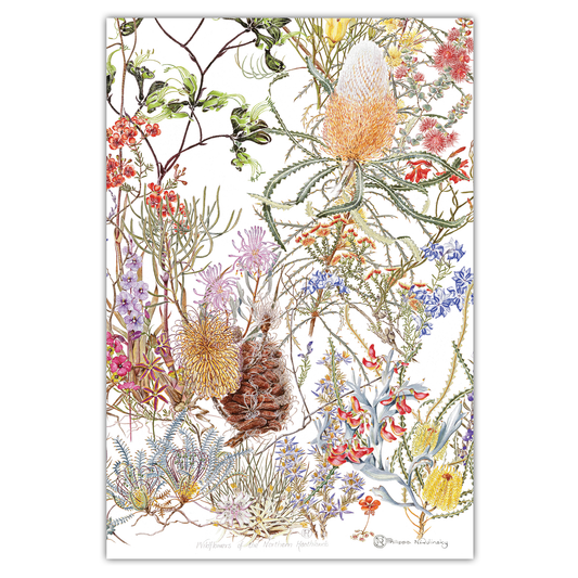 Northern Heathland Wildflowers Tea Towel