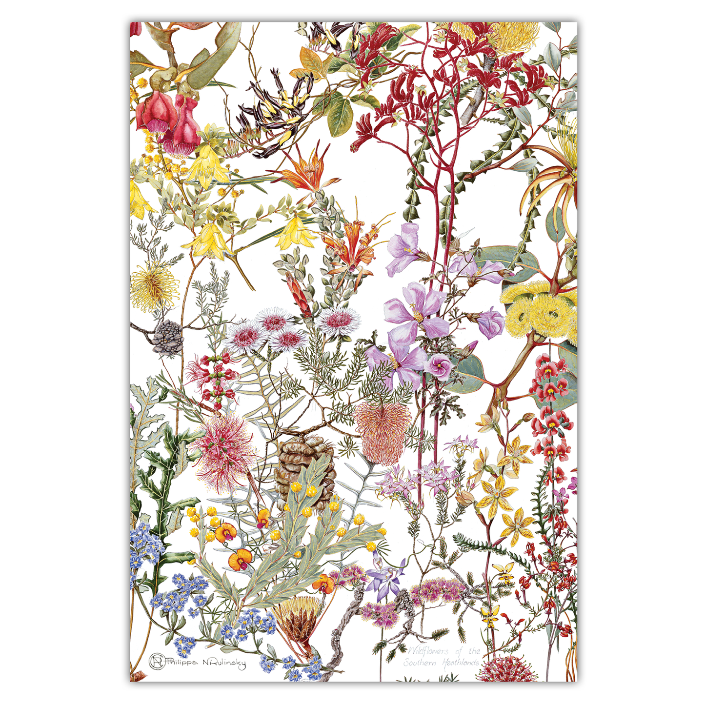 Southern Heathland Wildflowers Australian Botanical Linen Tea Towel