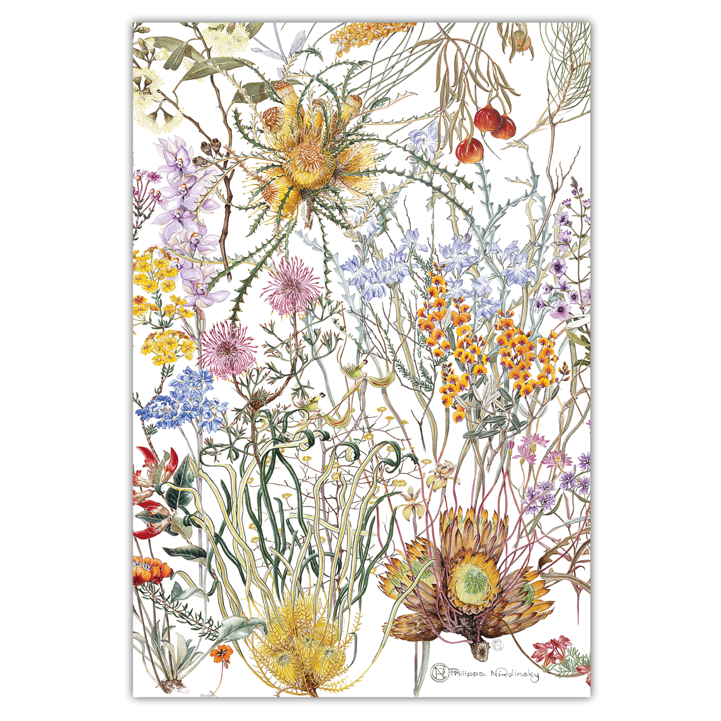 Southern Wheatbelt Wildflowers Australian Botanical Linen Tea Towel