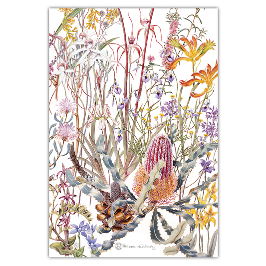 Swan Coastal Plain Wildflowers Tea Towel