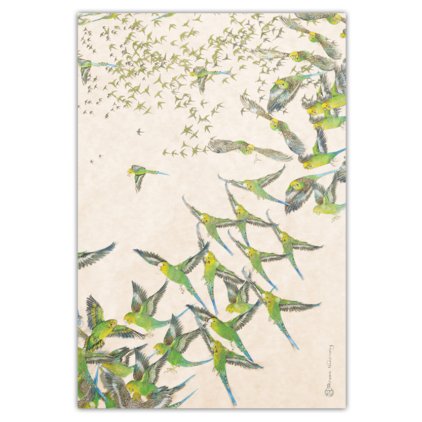 Budgies Australian Wildlife Linen Tea Towel