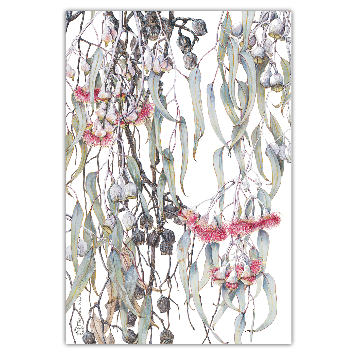 Silver Princess Australian Botanical Linen Tea Towel