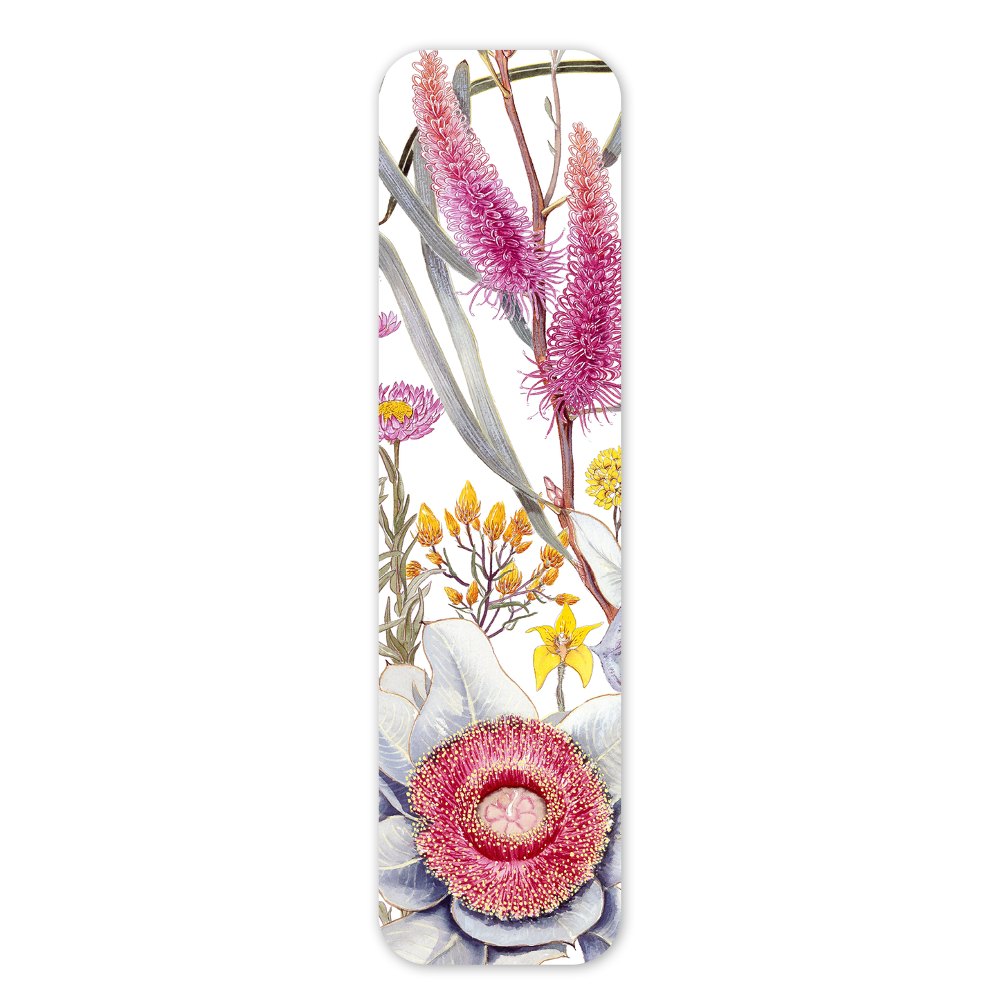 Mottlecah & Hakea — Australian Botanical Bookmark