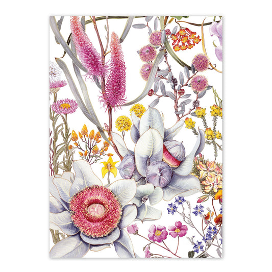 studio-nikulinsky A6 Card: Wildflowers of the Northern Wheatbelt by Philippa Nikulinsky