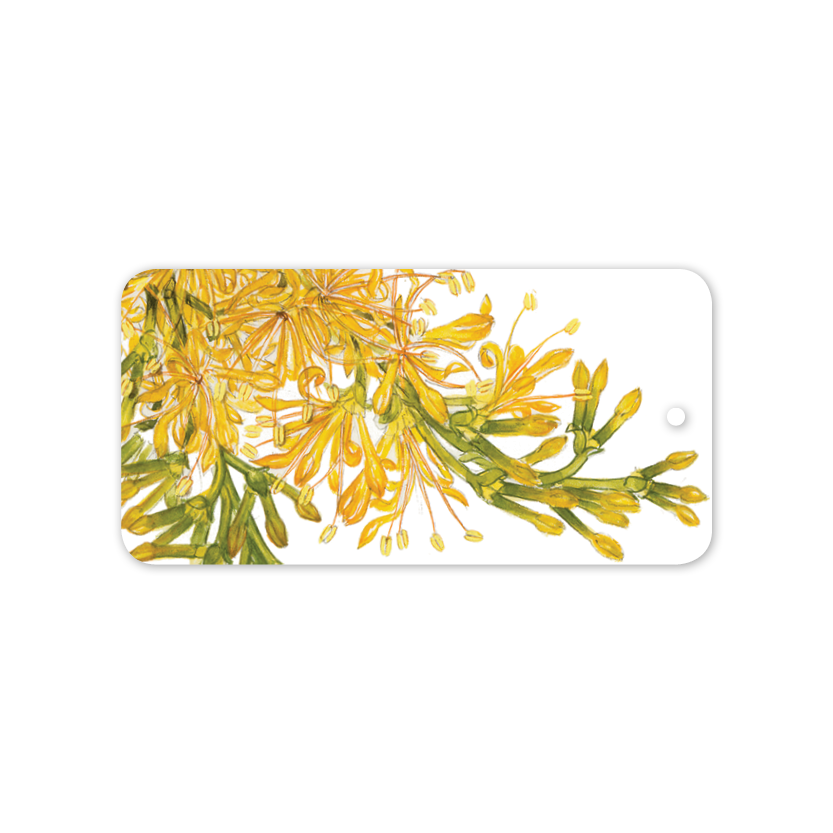 WA Christmas Tree Australian Botanical Rectangle Gift Tag