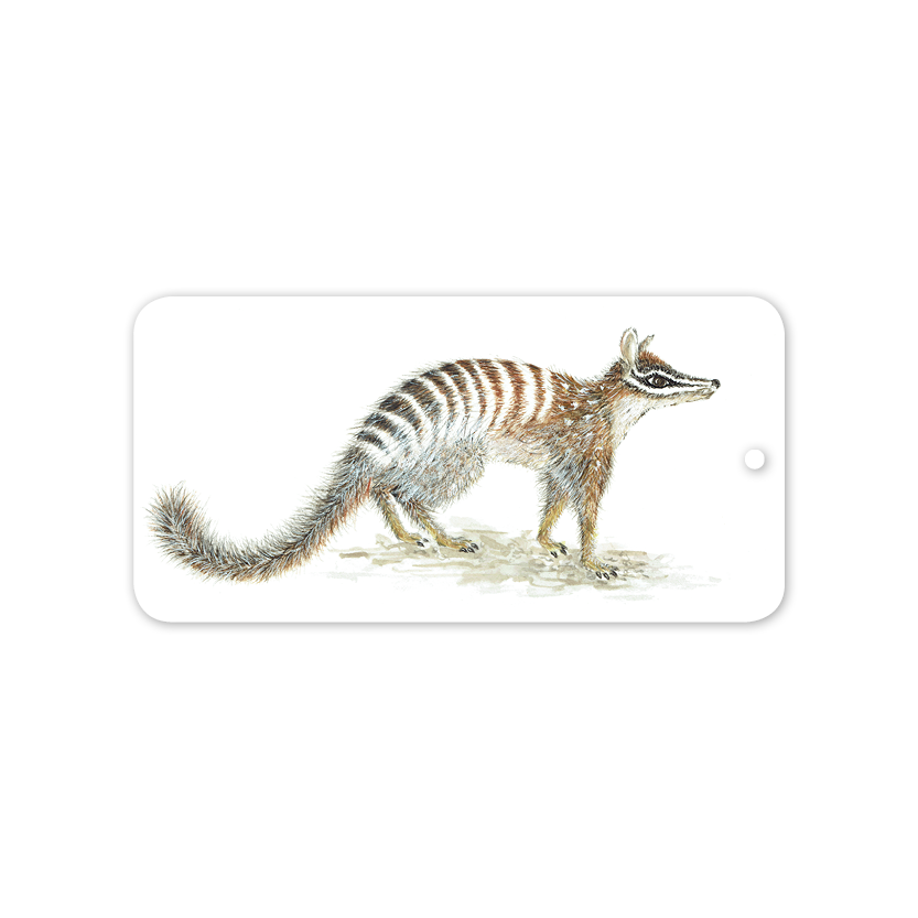 Numbat Australian Botanical Rectangle Gift Tag