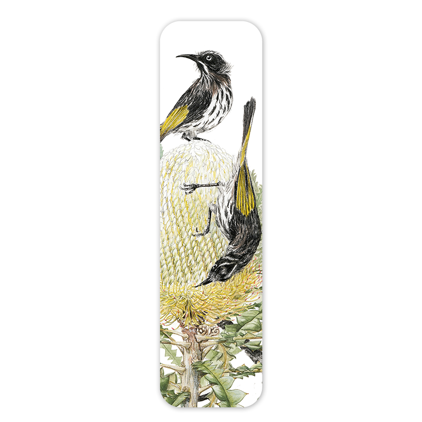 Honeyeater & Banksia — Australian Botanical & Wildlife Bookmark