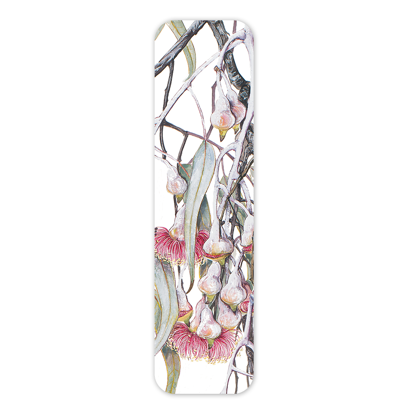 Silver princess — Australian Botanical Bookmark