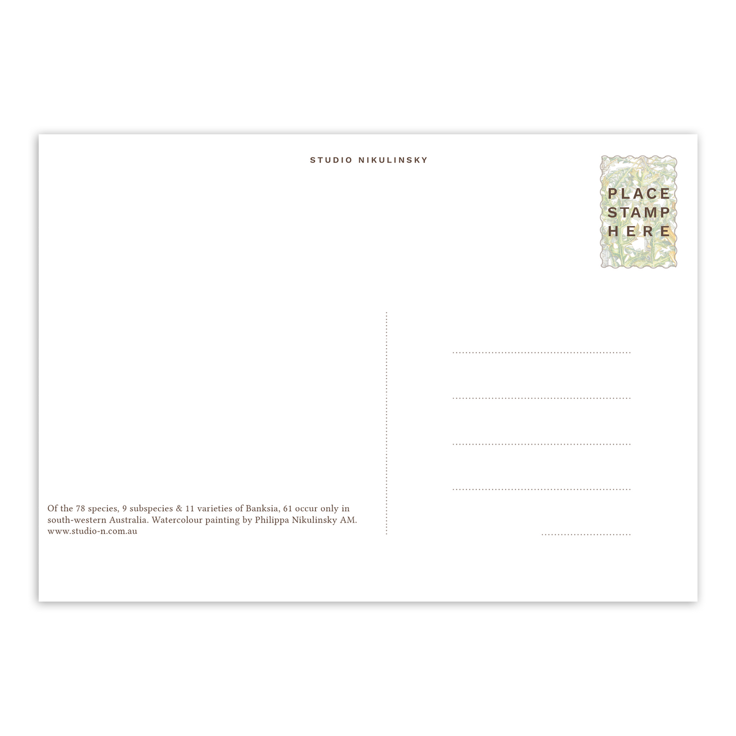 Banksias Australian Botanical Postcard