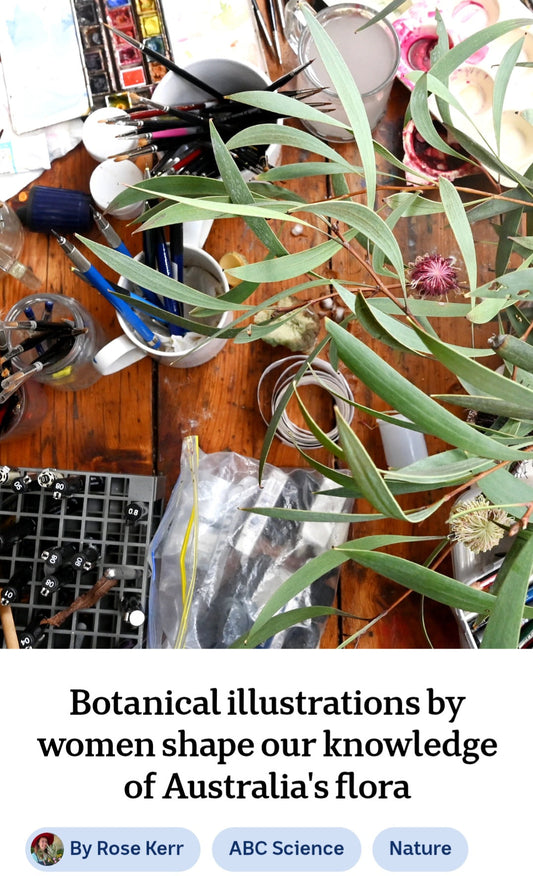 Botanical illustrations by women shape our knowledge of Australia's flora