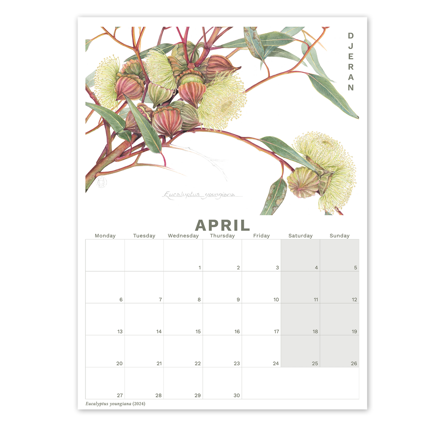2026 Calendar