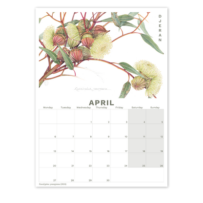 2026 Calendar