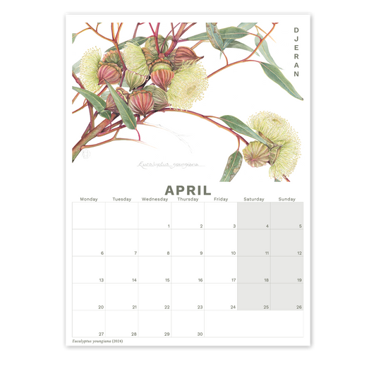 2026 Calendar