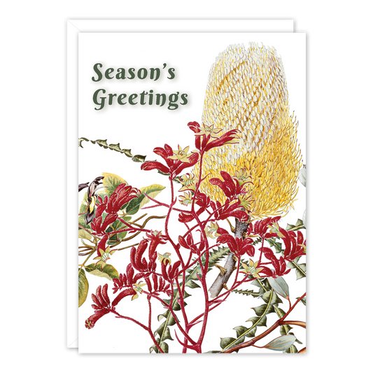 A6 Card: Banksia & paws 'Season's Greetings'