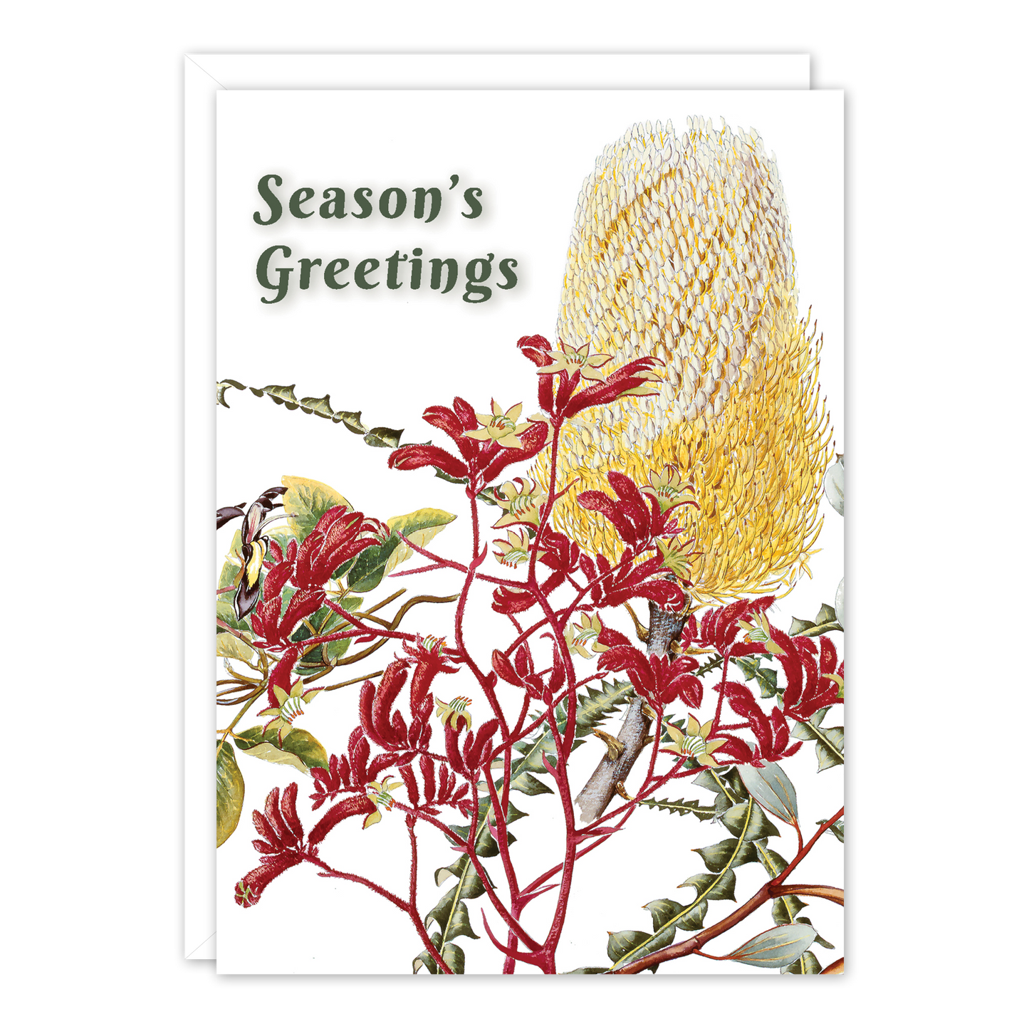 A6 Card: Banksia & paws 'Season's Greetings'