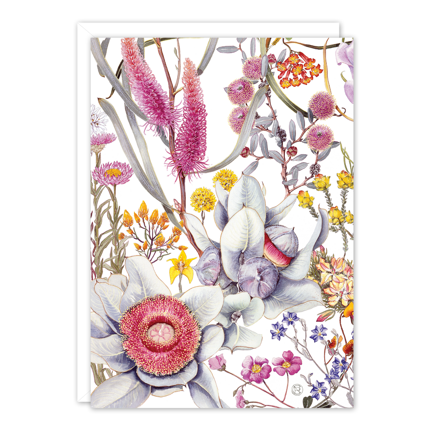 Wildflowers of the Northern Wheatbelt 1 Australian Botanical Card — A6