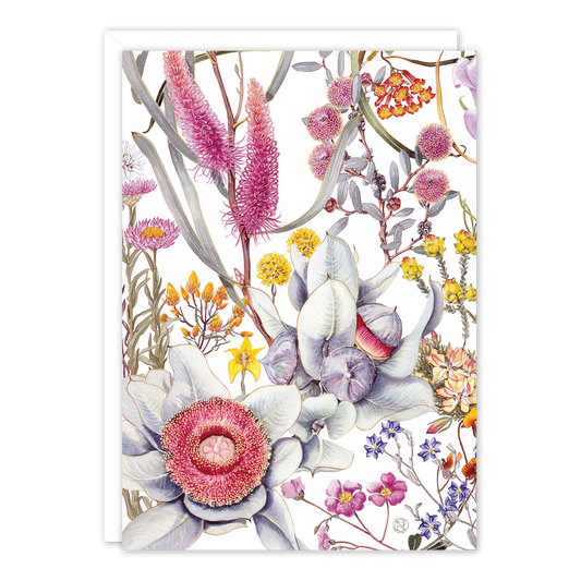 Wildflowers of the Northern Wheatbelt 1 Australian Botanical Card — A6