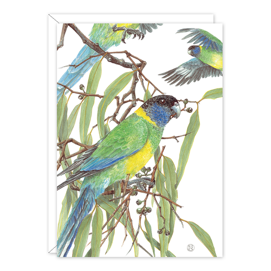Port Lincoln Parrot Australian Wildlife Card — A6