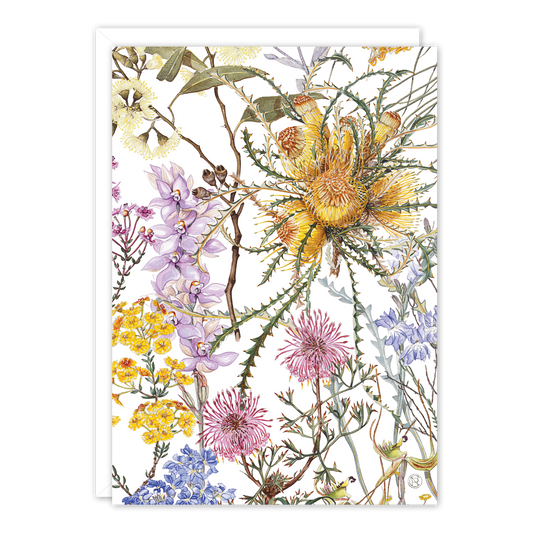 Wildflowers of the Southern Wheatbelt Australian Botanical Card — A6