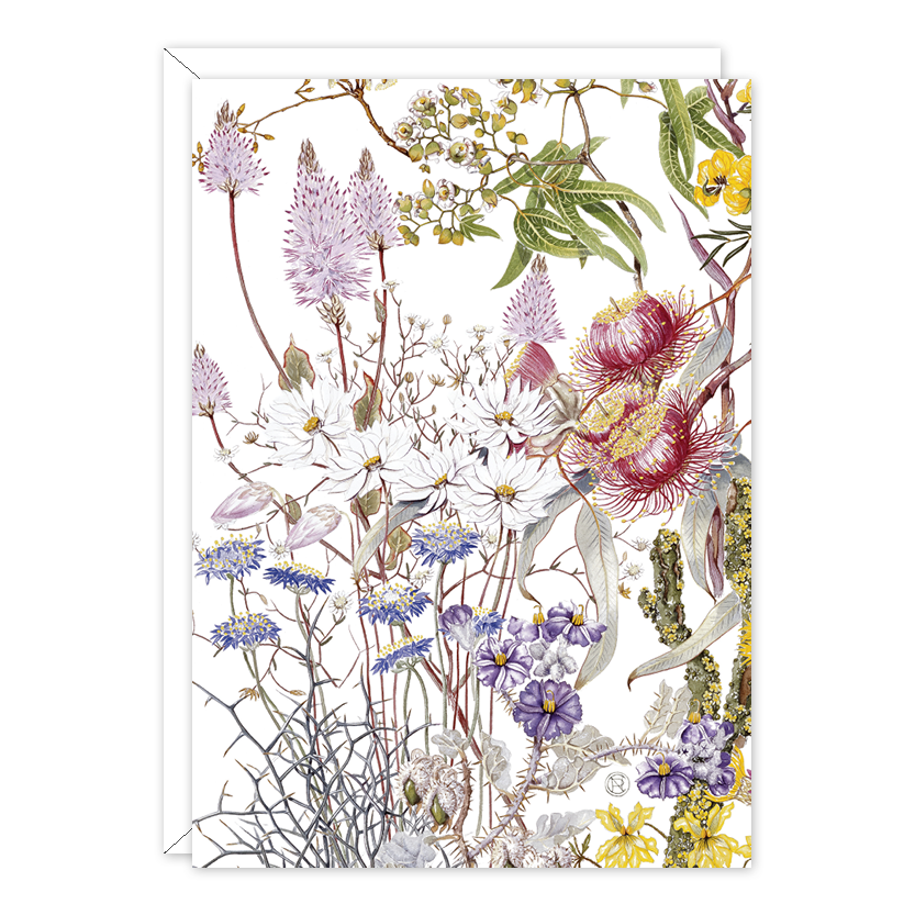 Wildflowers of the Goldfields Mulga Australian Botanical Card — A6