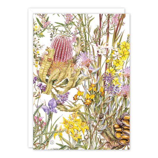 Wildflowers of Kings Park Australian Botanical Card — A6