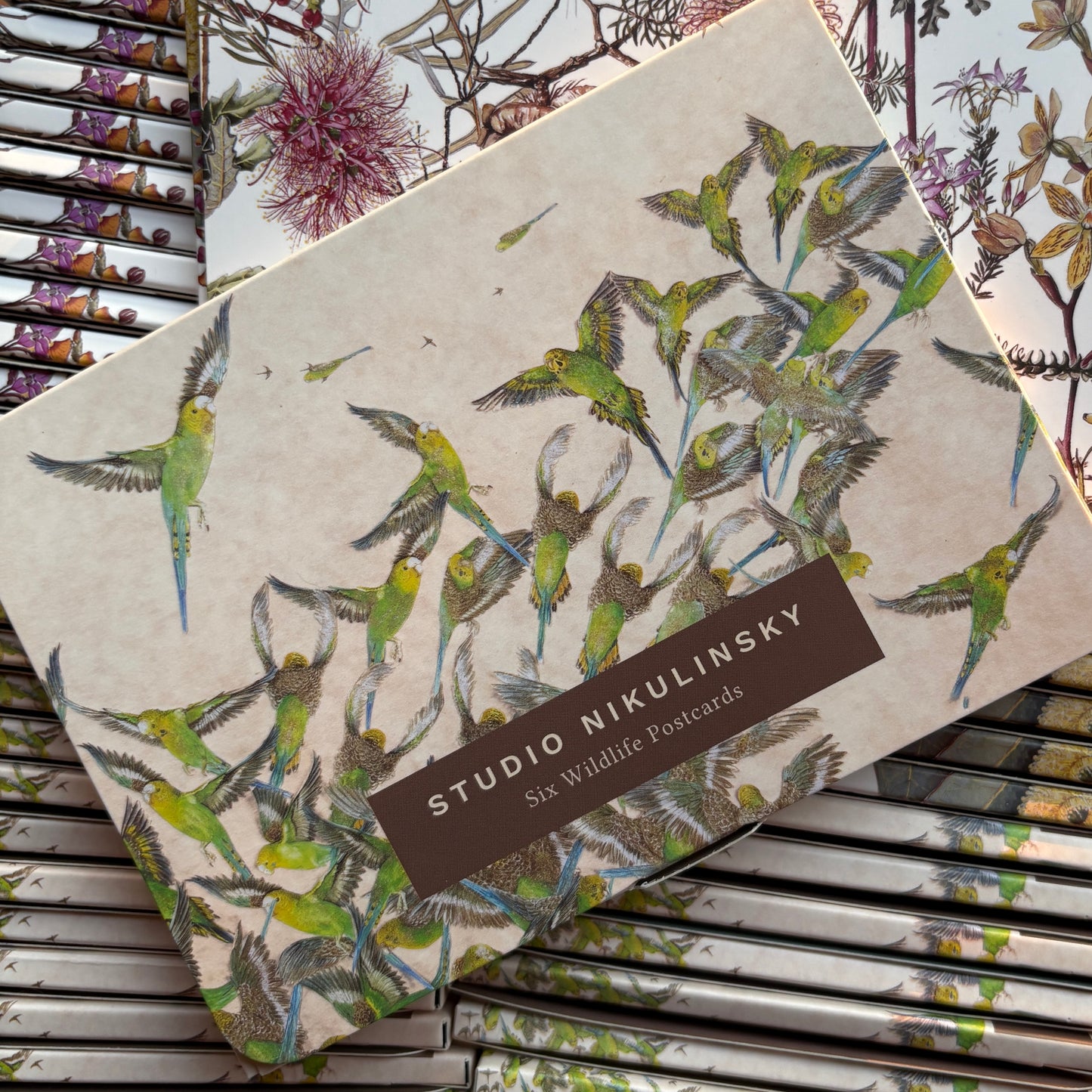 Boxed Postcards: Wildlife