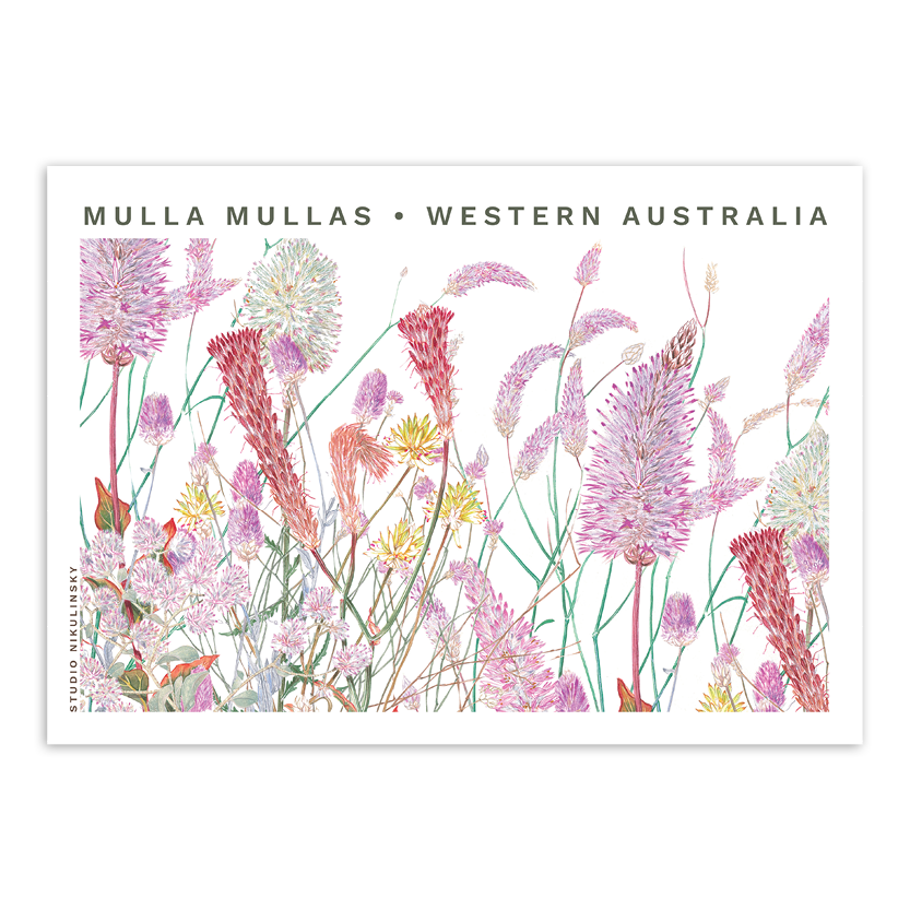 Postcard: Mulla Mullas - Western Australia
