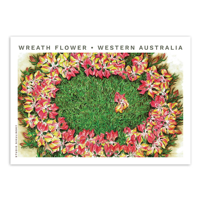 Postcard: Wreath Flower - Western Australia