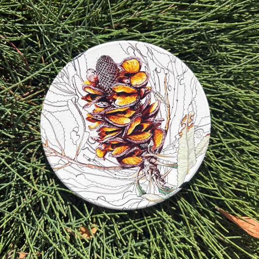 Coaster: Firewood banksia cone