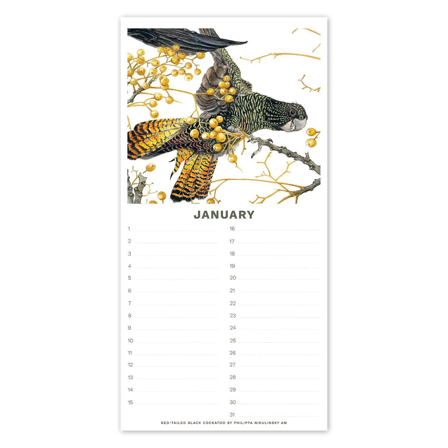 Perpetual Calendar - Australian Birds