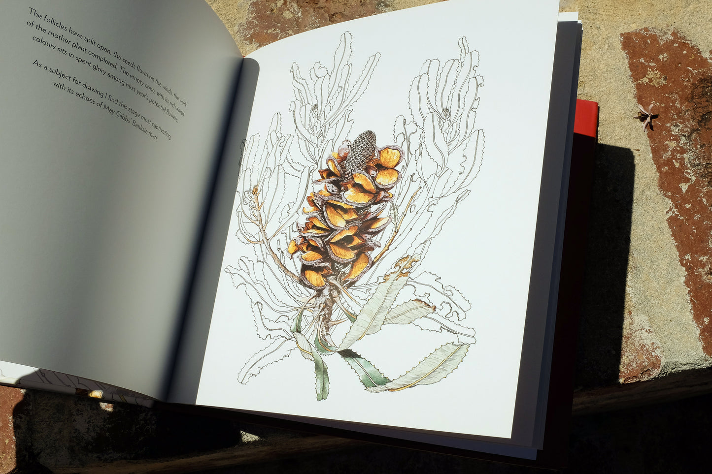 Book: Firewood Banksia