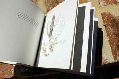 Book: Firewood Banksia