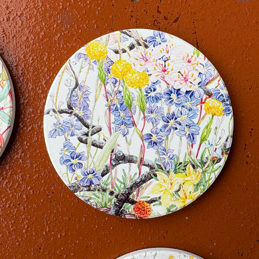 After the Burn - Dampiera Botanical Art Coaster