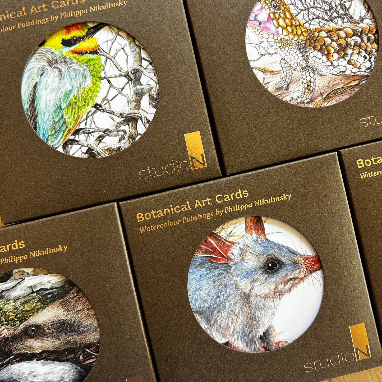 Boxed Square Wildlife Cards